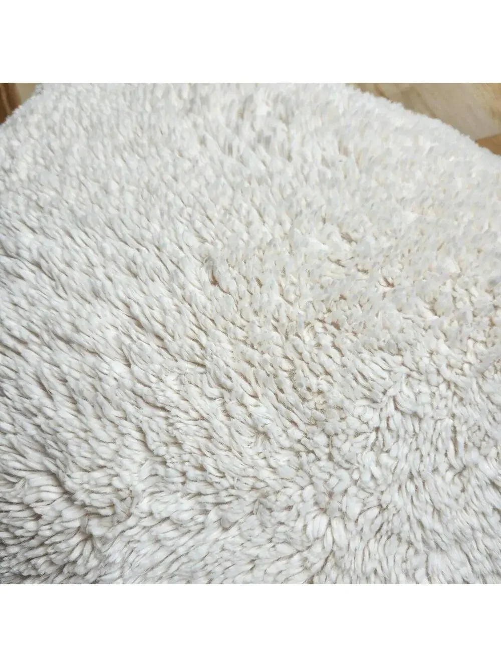 Pottery Barn Plush Faux Fur Cover 24 x 24 Inch Pillow PB Feather Pillow Insert